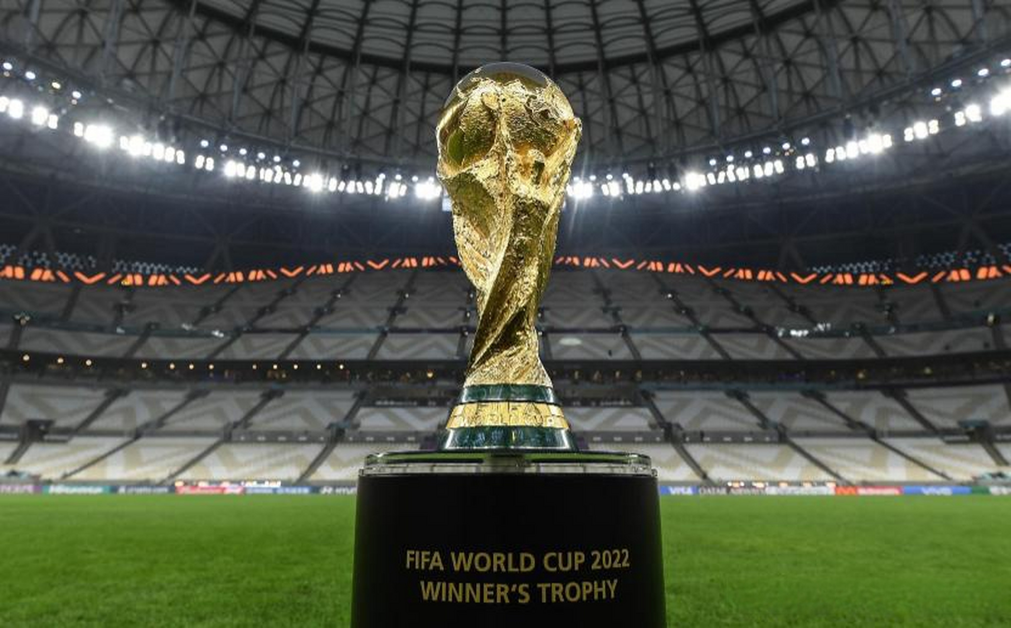 麻痹陷阱 麻痹陷阱